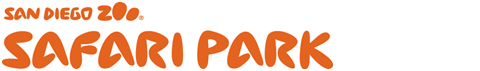 SP Logo.bmp